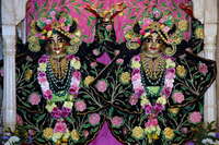 1 Gaura-nitai