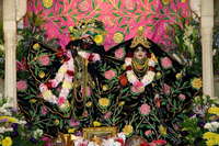 2 Radha-vallabha