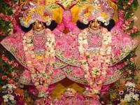 Nitai.jpg