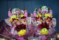 GauraNitaiFarm.jpg
