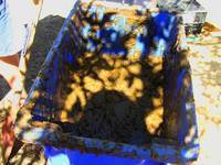 Cow Dung