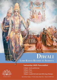 Diwali 2007 WV
