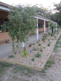 frontgarden.jpg