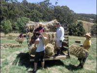 Hay bale collection