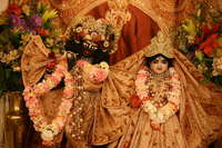 Radha-vallabha