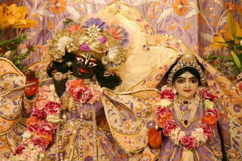 Thumb: Radha-vallabha