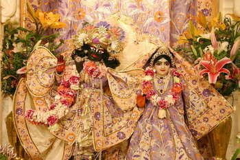 Thumb: Radha-vallabha