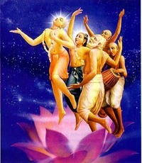 sannyasa