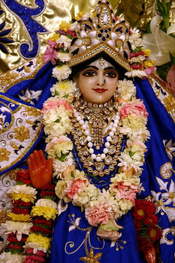 Thumb: Snana-yatra Darsana