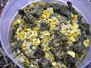 Desert Sambar: