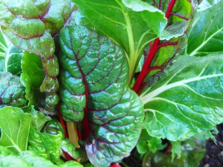 Eat your greens: 