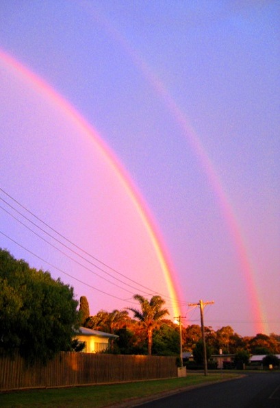 mallacoota rainbow: 