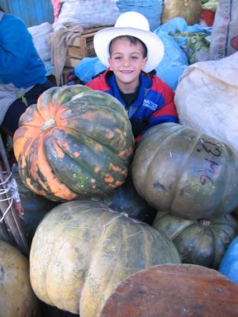 Pumpkin Boy: 