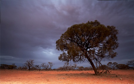 Roxby at Dawn: