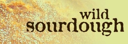 Wild Sourdough Bread: