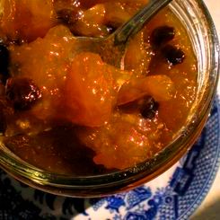 Yamuna's Apricot Chutney.jpg: 