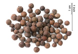 allspice seeds: