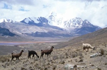 altiplano view.jpg: 