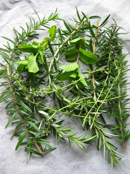 bed of herbs: 