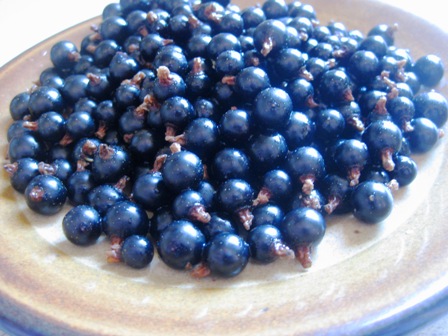 blackcurrants: 