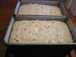 bread is ready to bake: 