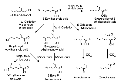 chemical maze: 