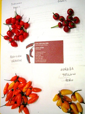 chili collection #2: