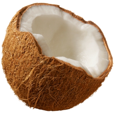 coconut 101.jpg: 