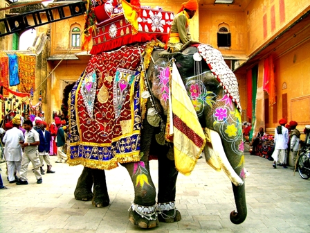 decorated_indian_elephant: 