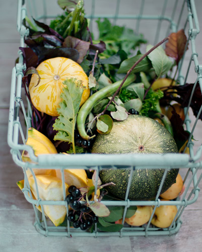 fresh garden produce: 