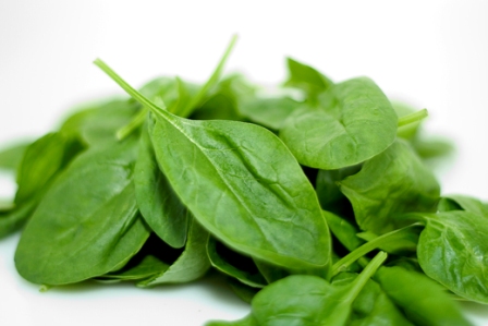 fresh greeens: