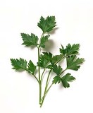 fresh parsley: 
