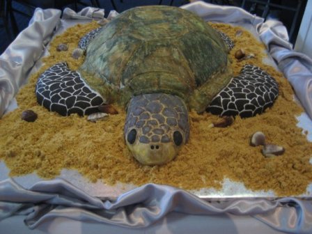 hard to believe it's a cake: