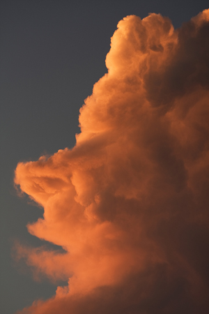 head in the clouds: 