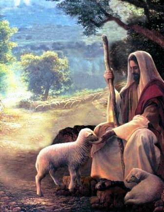 jesus and sheep: 