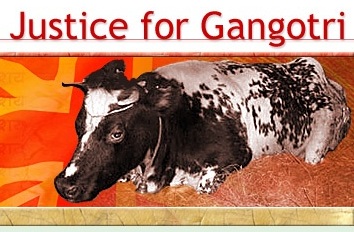 justice for Gangotri: