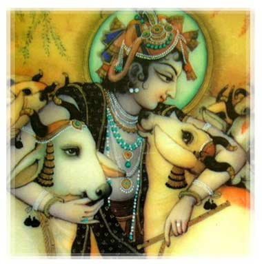 krishna and the cows: 