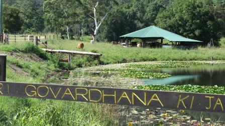 lake at New Govardhana: 