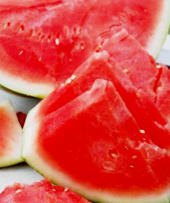 seedless watermelon: