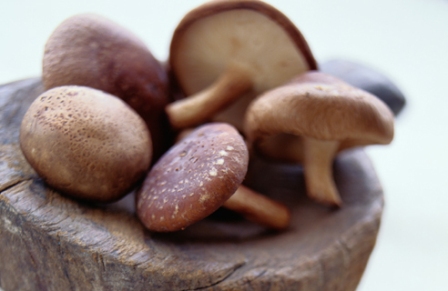 shitake mushrooms: 