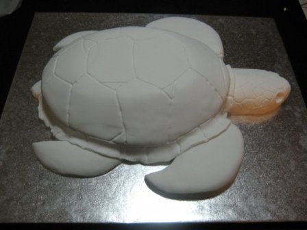 stage two trutle: