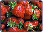 strawberries thumb 3: 