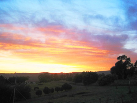 sun's up over Lilydale: 