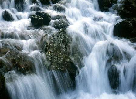 the taste of water: 