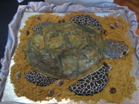 the turtle cometh: