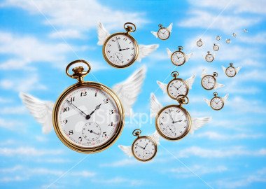 time-flies: 