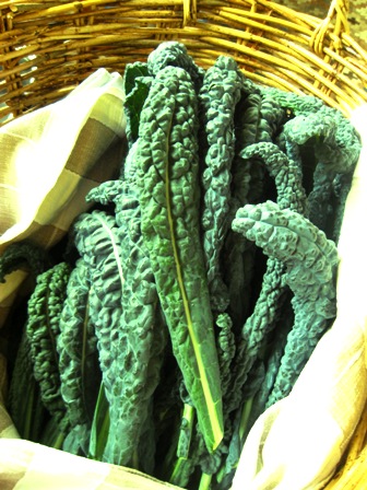 tuscan cabbage: 