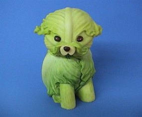 vegi pet: