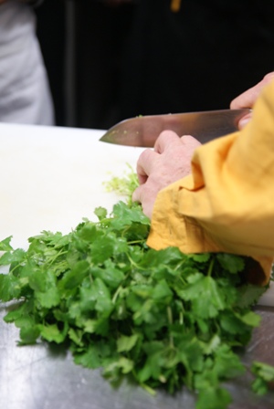 we're doing the fresh coriander: 