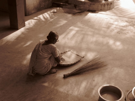 winnowing rice: